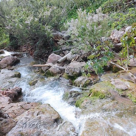 Quinta Cosy Βίλα Paderne  Εξωτερικό φωτογραφία